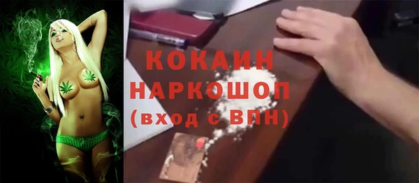 гашик Алексеевка