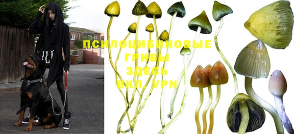 каннабис Алзамай