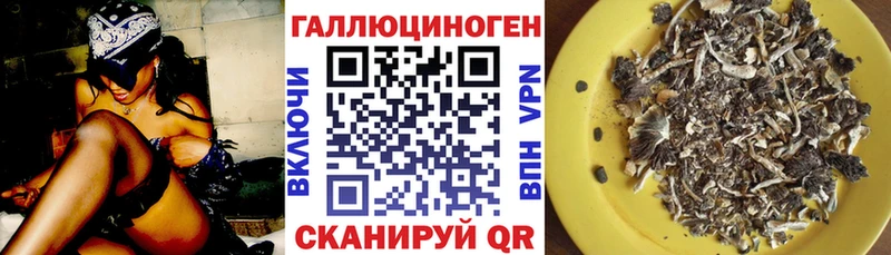 Купить закладки  Урень  Галлюциногенные грибы Cubensis 